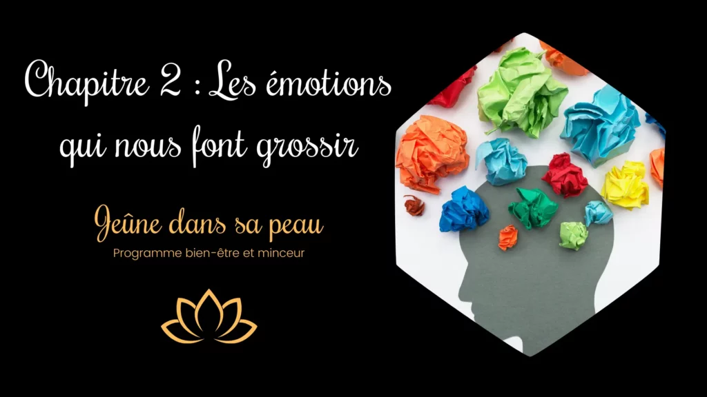 chapitre 2 description perte de poids durable grâce à la gestion de nos émotions surtout le stress Perdre du poids jeûne intermittent Jeûne intermittent 16 8 Coaching perte de poids Perte de poids durable Programme jeûne intermittent Gérer ses émotions Pensées négatives Nouvelles habitudes bien-être Croyances limitantes