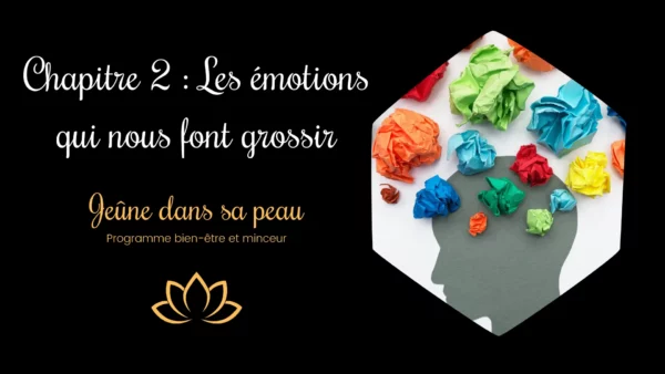 chapitre 2 : les émotions qui nous font grossir chapitre 2 description perte de poids durable grâce à la gestion de nos émotions surtout le stress Perdre du poids jeûne intermittent Jeûne intermittent 16 8 Coaching perte de poids Perte de poids durable Programme jeûne intermittent Gérer ses émotions Pensées négatives Nouvelles habitudes bien-être Croyances limitantes